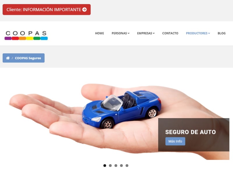 Crear Plataforma Online en Ecuador